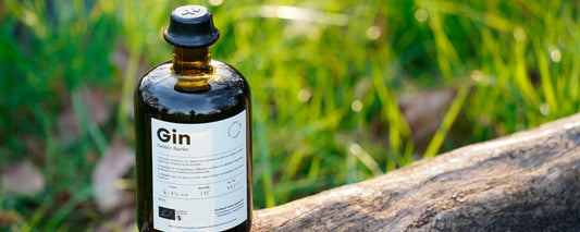Gin Sainte Barbe