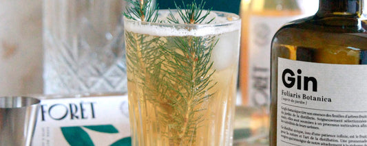 Gin Tonic botanique Entre forêt et jardin - Distillerie Sainte Barbe & Nos Jardins Imparfaits
