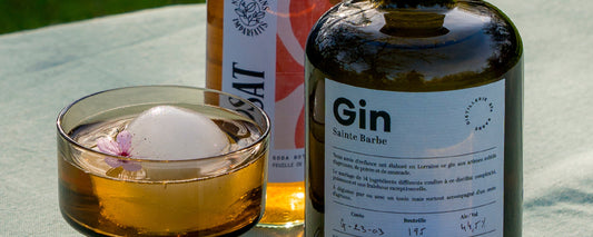 Gin Tonic Ensoleillé - Distillerie Sainte Barbe & Nos Jardins Imparfaits