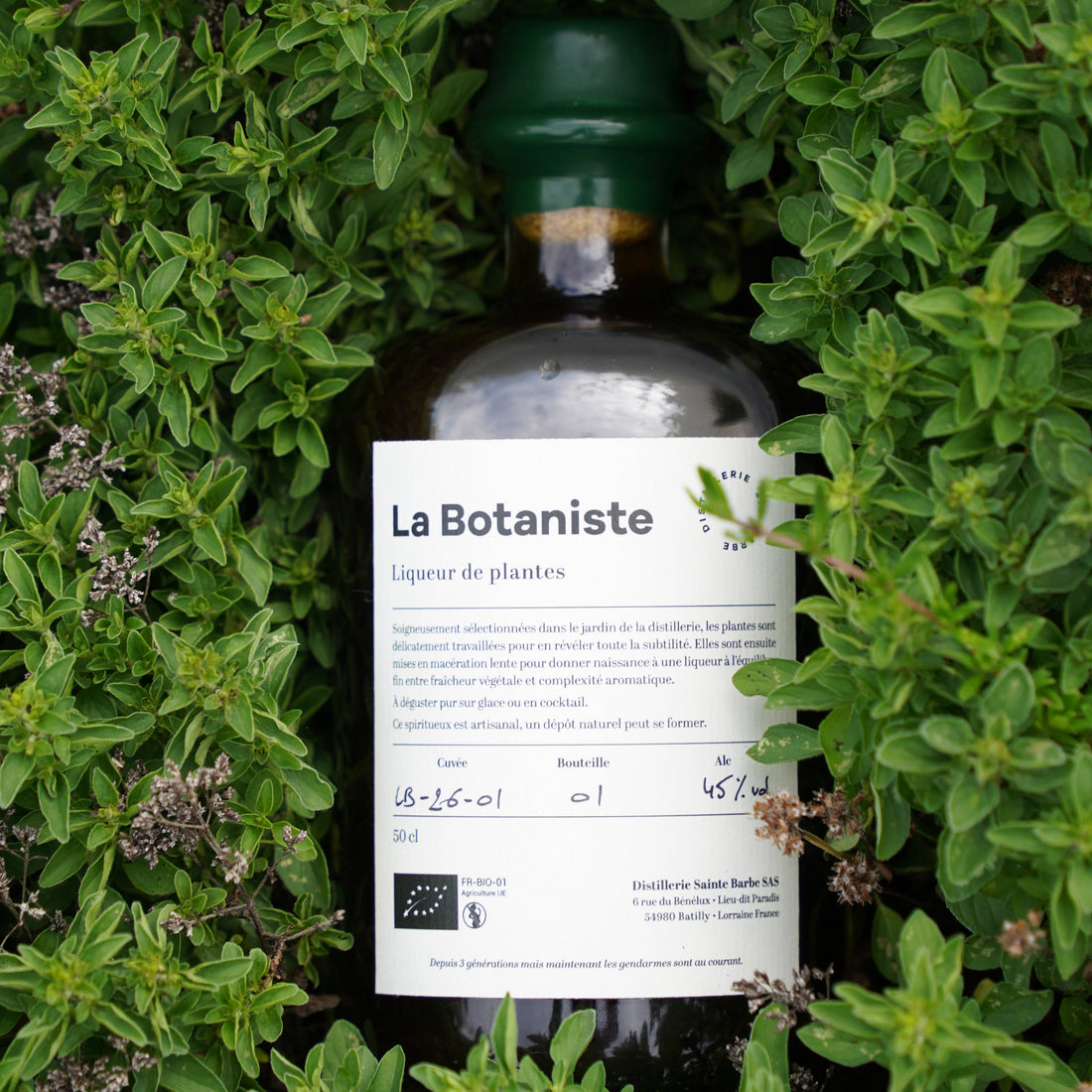 La Botaniste : une liqueur de plantes artisanale et biologique