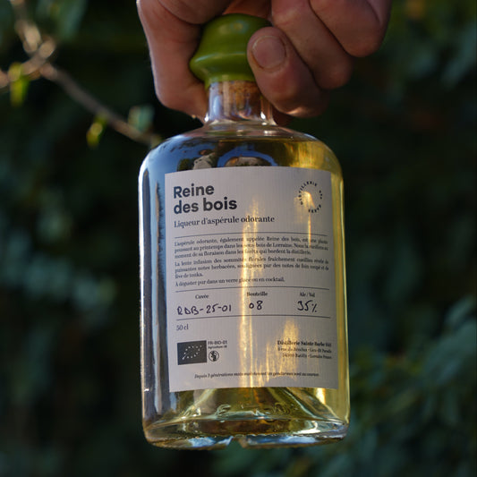 Reine des bois - Liqueur d'aspérule odorante