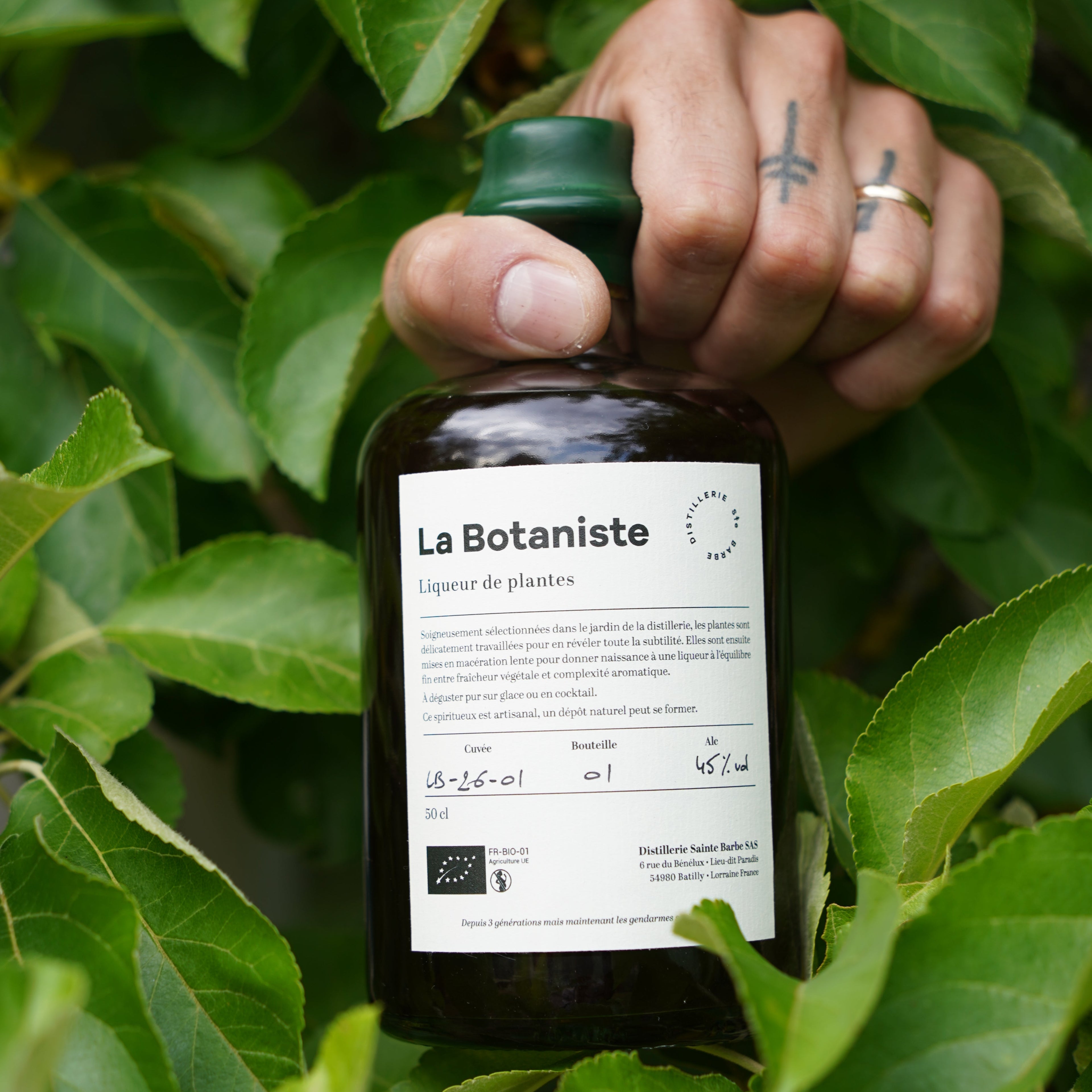 La Botaniste - Liqueur de plantes