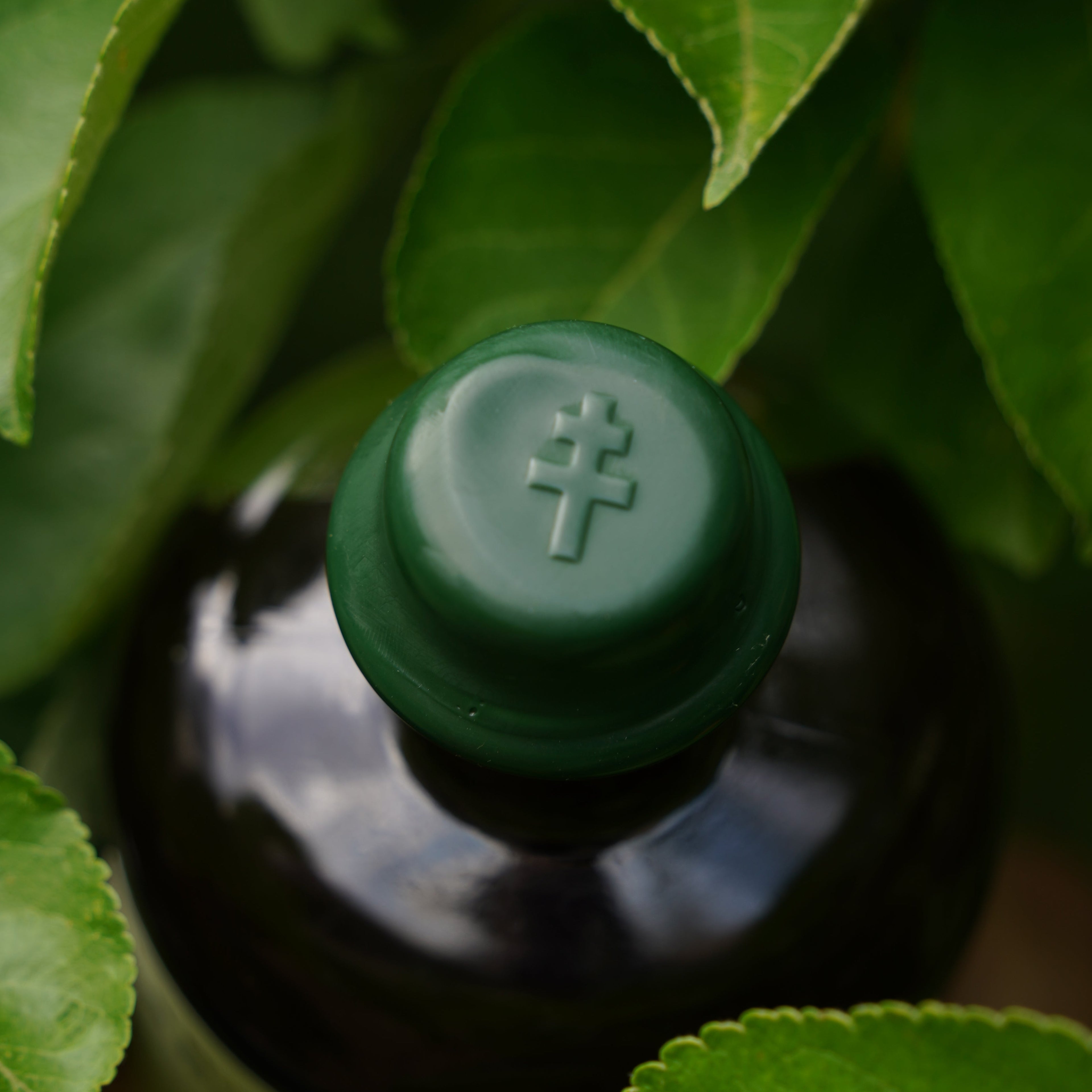 La Botaniste - Liqueur de plantes