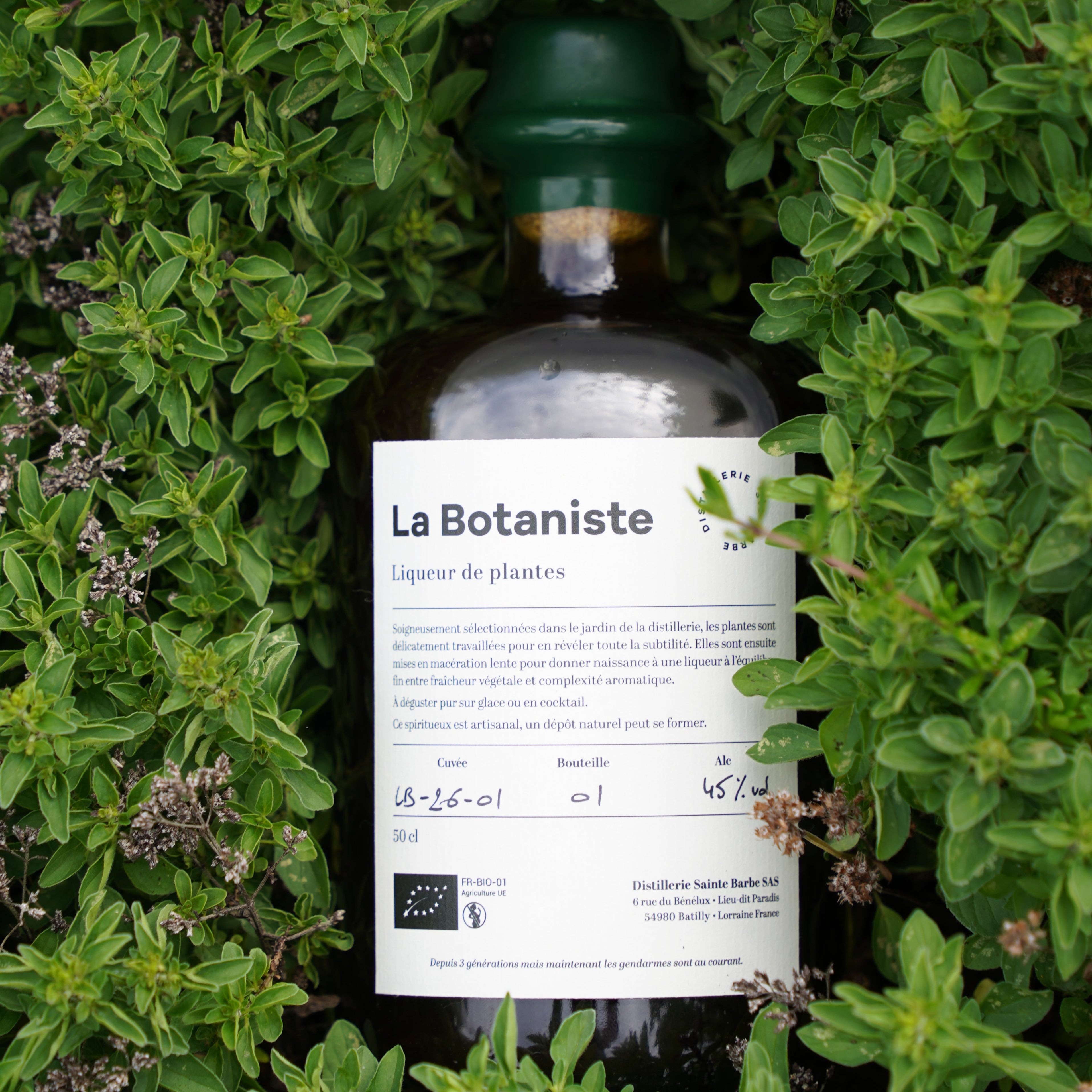 La Botaniste - Liqueur de plantes