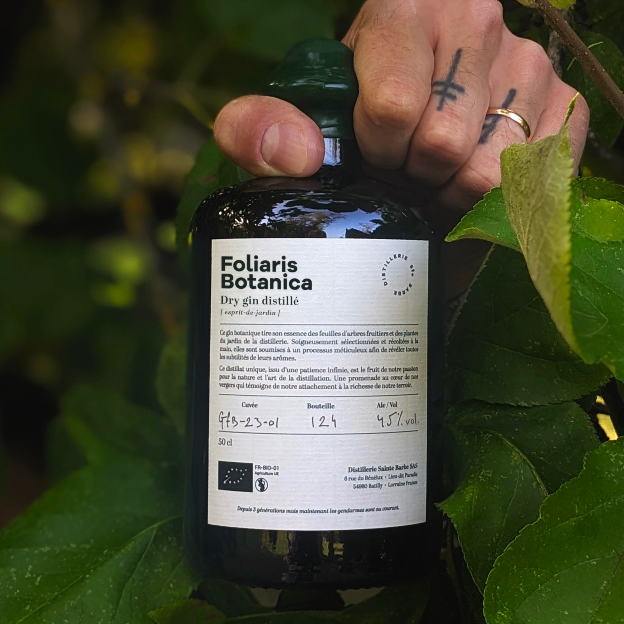 Gin Foliaris Botanica