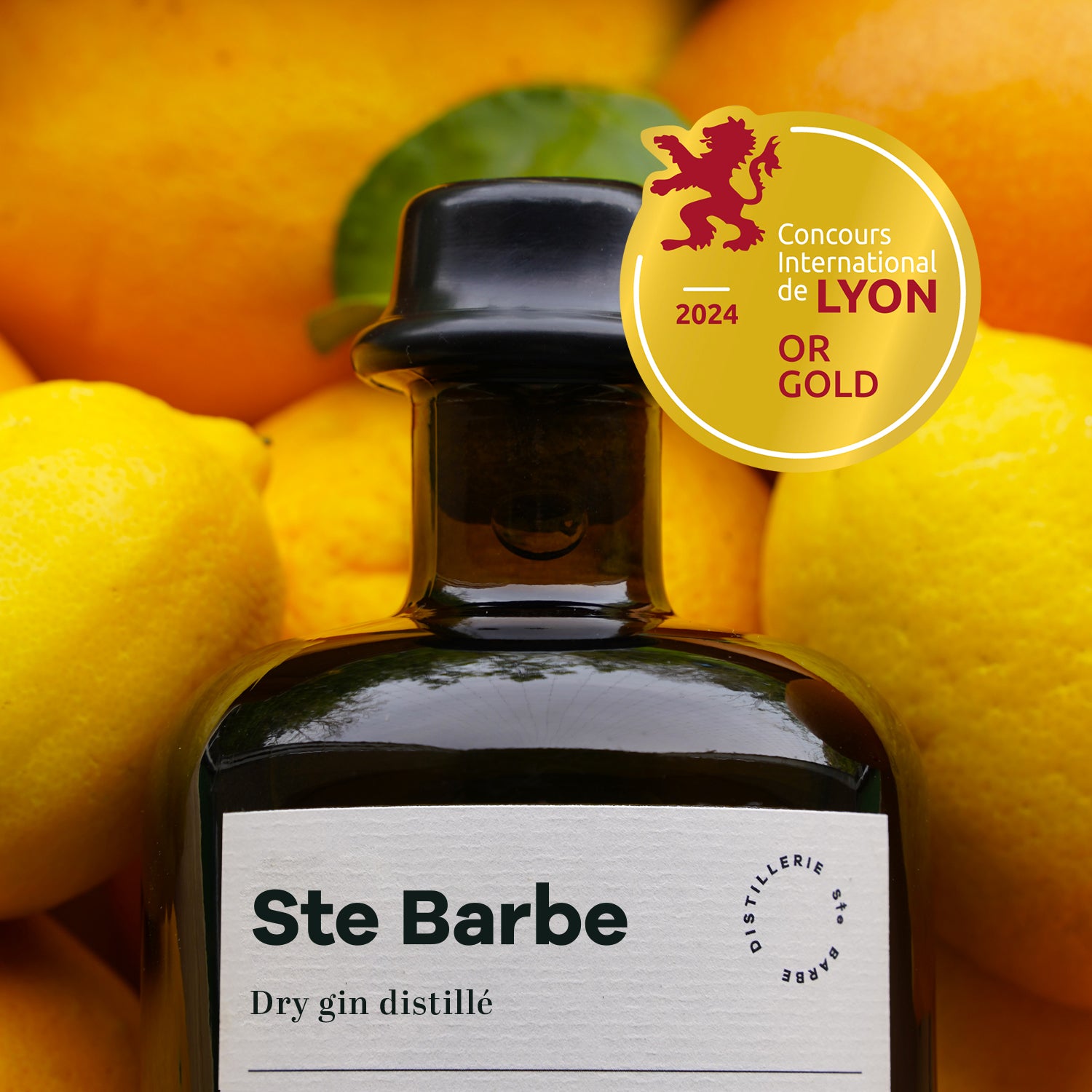 Gin Sainte Barbe