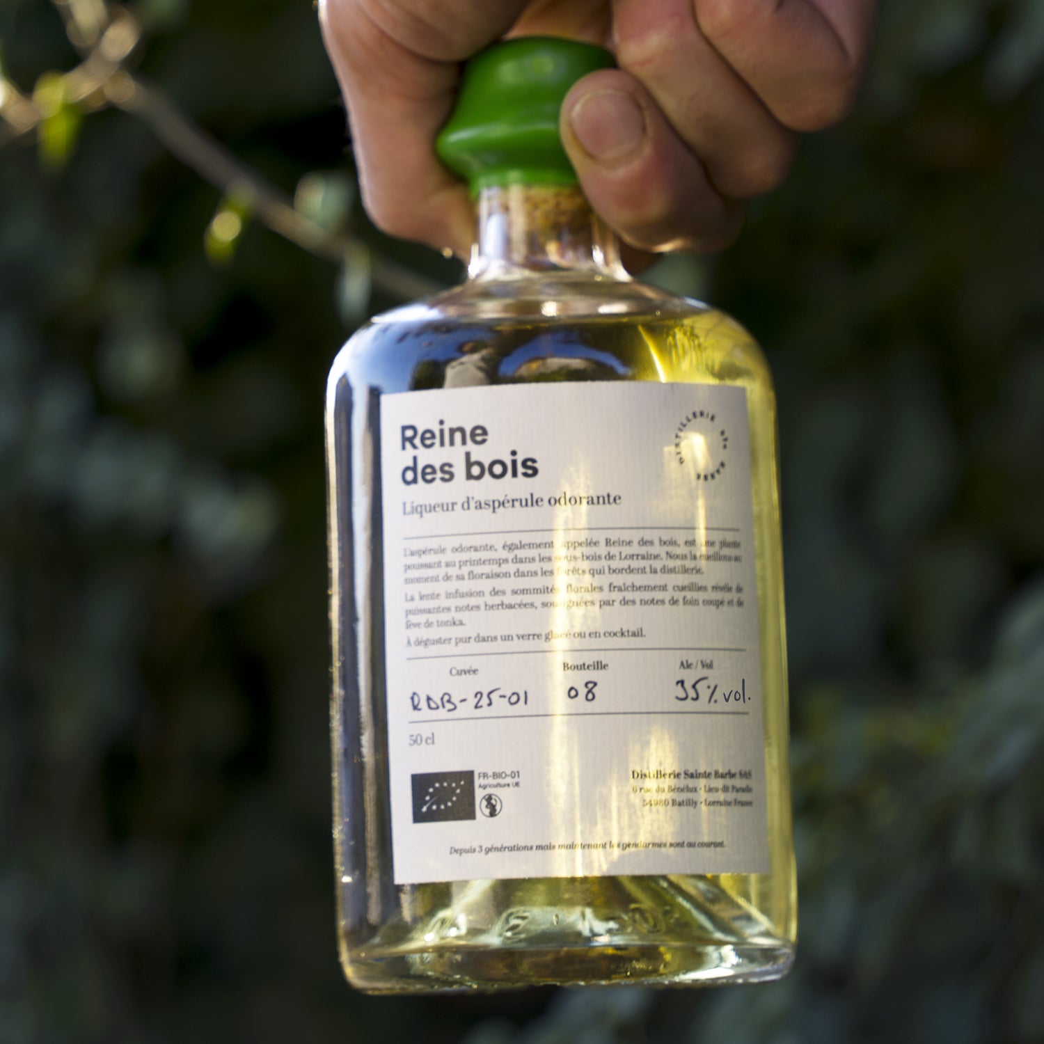 Reine des bois - Liqueur d'aspérule odorante