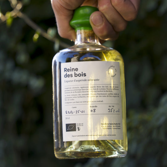 Reine des bois - Liqueur d'aspérule odorante